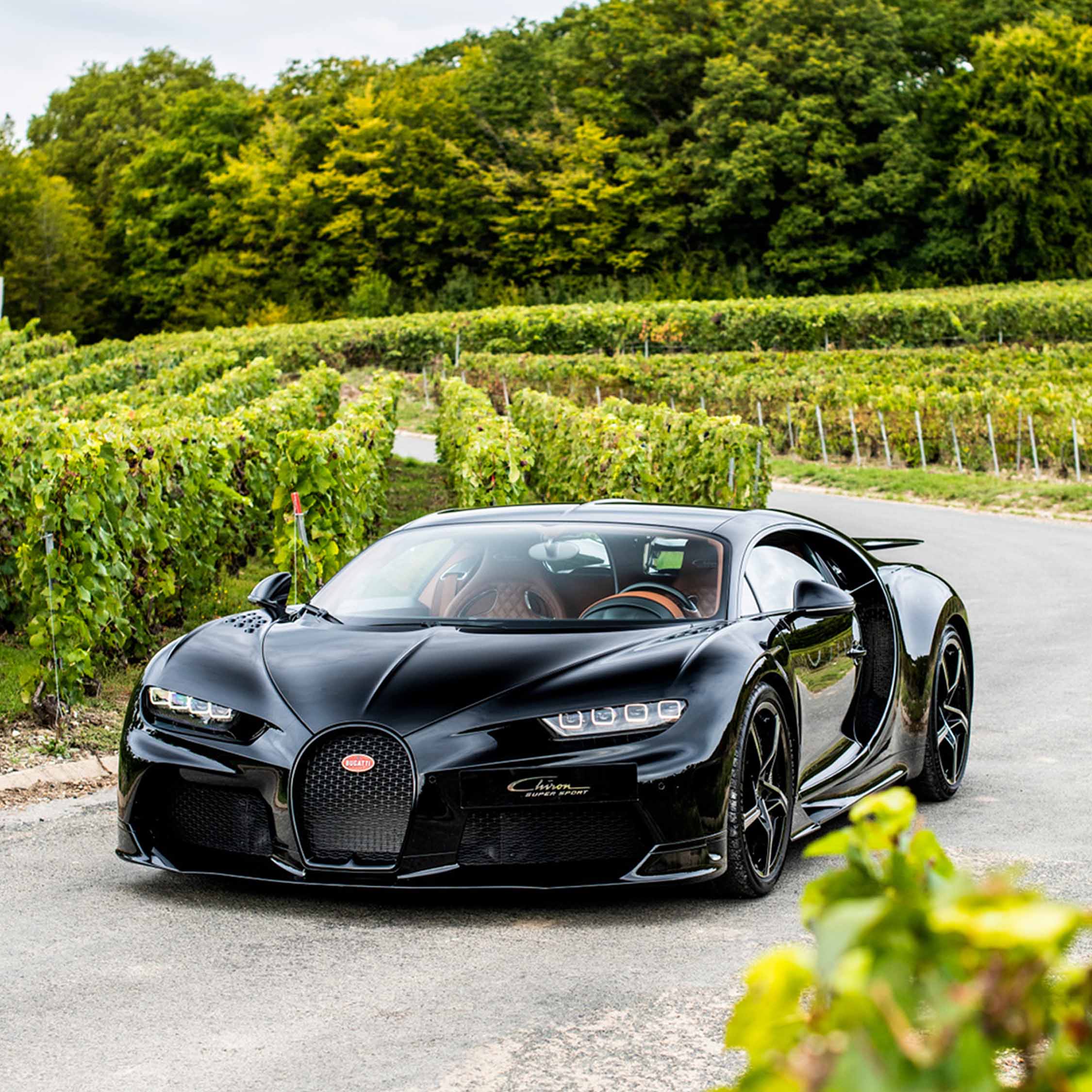 Bugatti Champagne CARBON EB02 — image 5