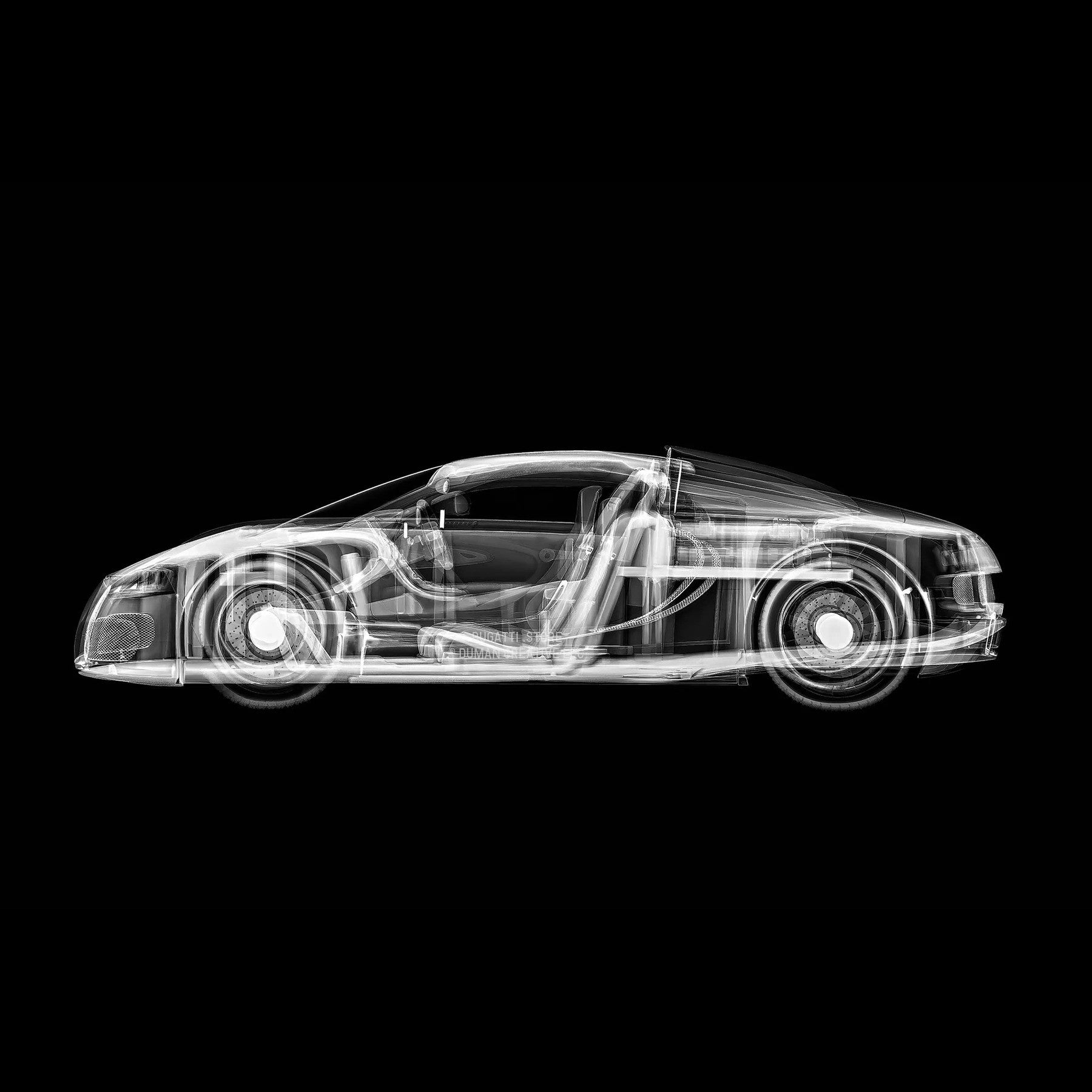BUGATTI VEYRON GRAND SPORT VITESSE (Side Profile)